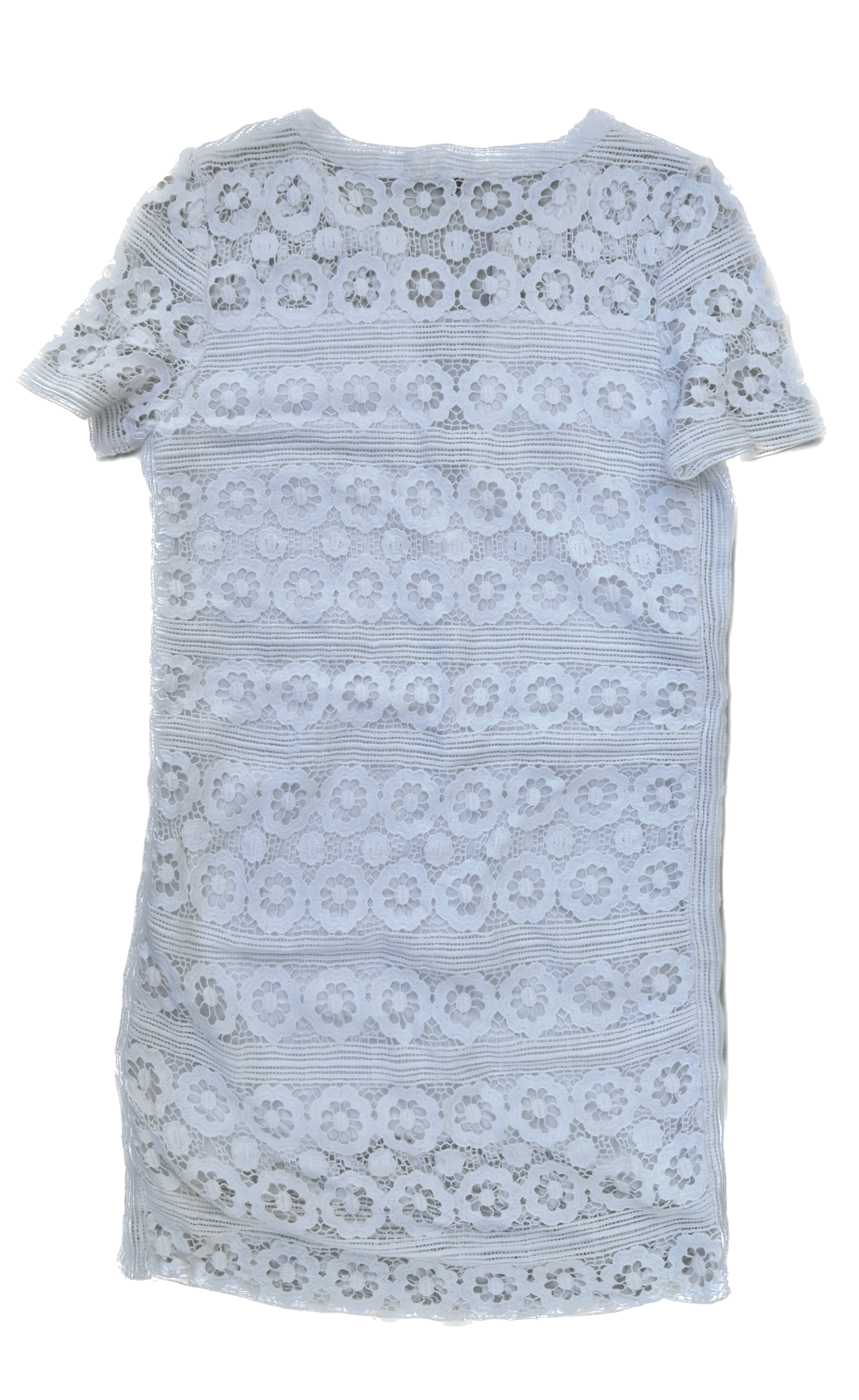 Burberry kjóll /  Burberry dress